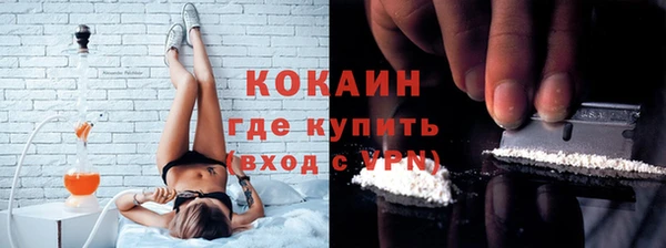 шишки Беломорск