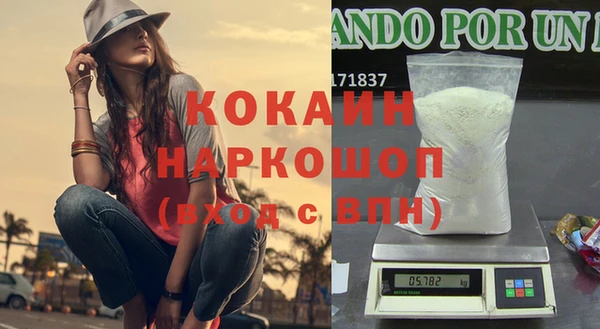 шишки Беломорск