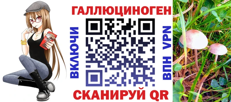 магазин продажи наркотиков  кракен сайт  Галлюциногенные грибы MAGIC MUSHROOMS  Обь 