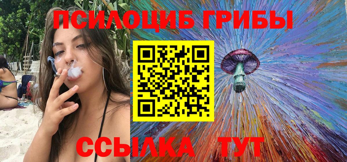 Галлюциногенные грибы мухоморы  купить наркотики цена  Обь  Вход с VPN 
