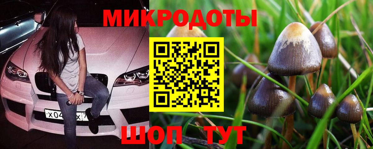 Галлюциногенные грибы мицелий Обь