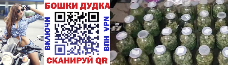 Бошки Шишки конопля  Обь 
